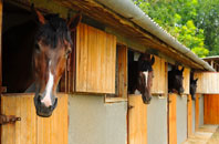 free Isle Of Dogs stable construction quotes